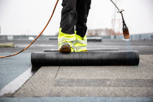 Best Roof Maintenance and Cleaning  in Orange, TX